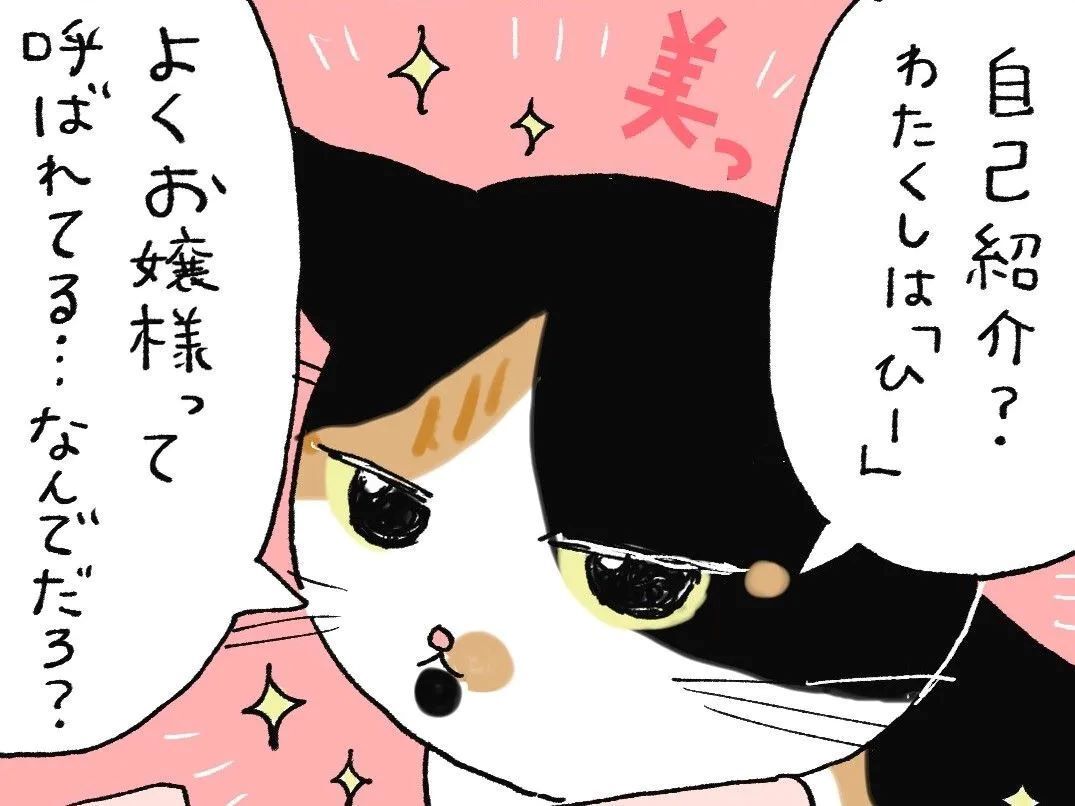 子どもたちのこと【てらねこミー子の日常】