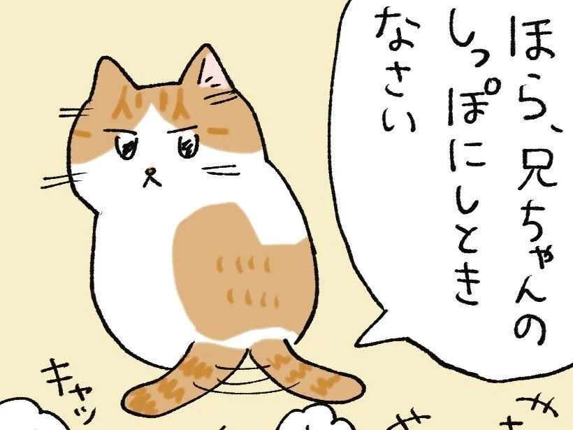 しっぽにしときなさい【てらねこミー子の日常】