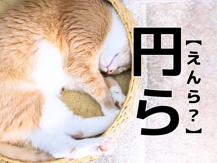 【円ら】を「えんら」と読むと笑われます!【読めないと恥ずかしい漢字クイズ】