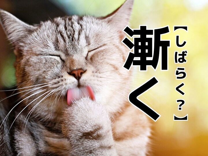 【漸く】を「しばらく」と読むと笑われます!【読めないと恥ずかしい漢字クイズ】