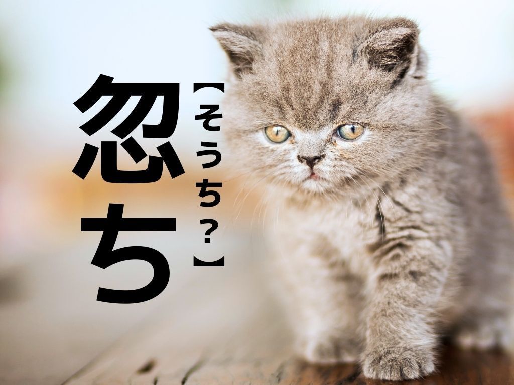 【忽ち】を「そうち？」と読むと笑われます！【読めないと恥ずかしい漢字クイズ】