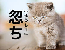 【忽ち】を「そうち？」と読むと笑われます！【読めないと恥ずかしい漢字クイズ】