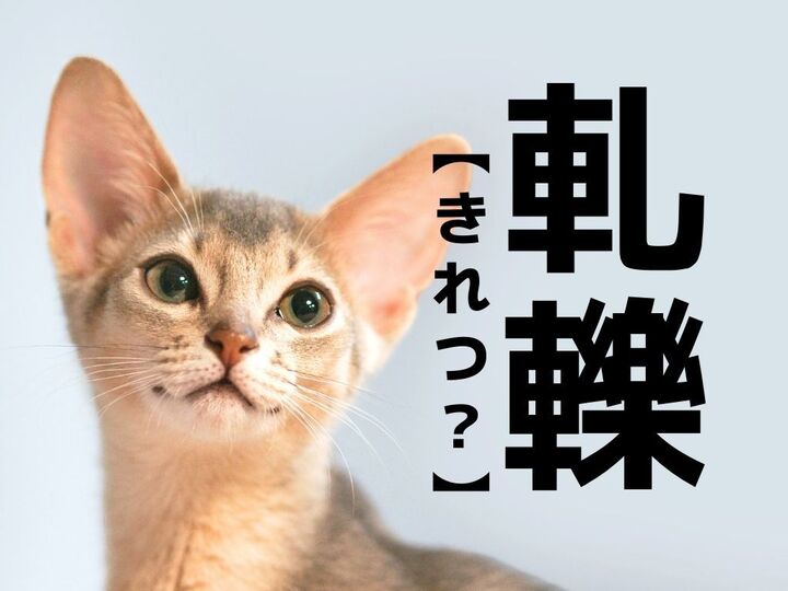 【軋轢】を「きれつ」と読むと笑われます！【読めないと恥ずかしい漢字クイズ 】