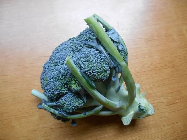 指定野菜に追加されるブロッコリー、汚れがラク〜にごっそり取れる洗い方って?