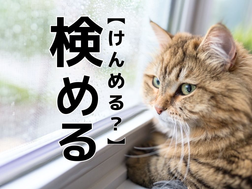 【検める】を「けんめる」と読むと笑われます！【読めないと恥ずかしい漢字クイズ】