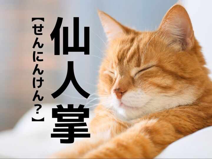 【仙人掌】の読み方わかる?「せんにんけん」ではありませんよ!ヒントは植物【難読漢字クイズ】