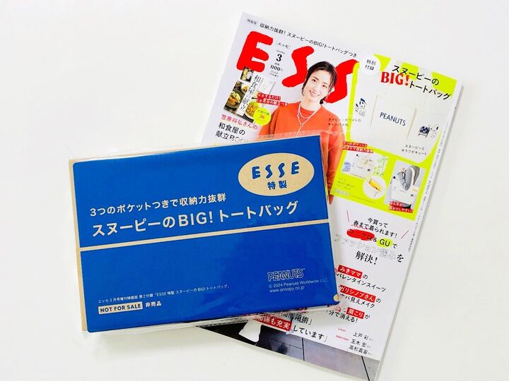 収納力バツグンすぎ!!卵も割れずに運べる♪マルチに使える超優秀BIGトートが付録で登場!
