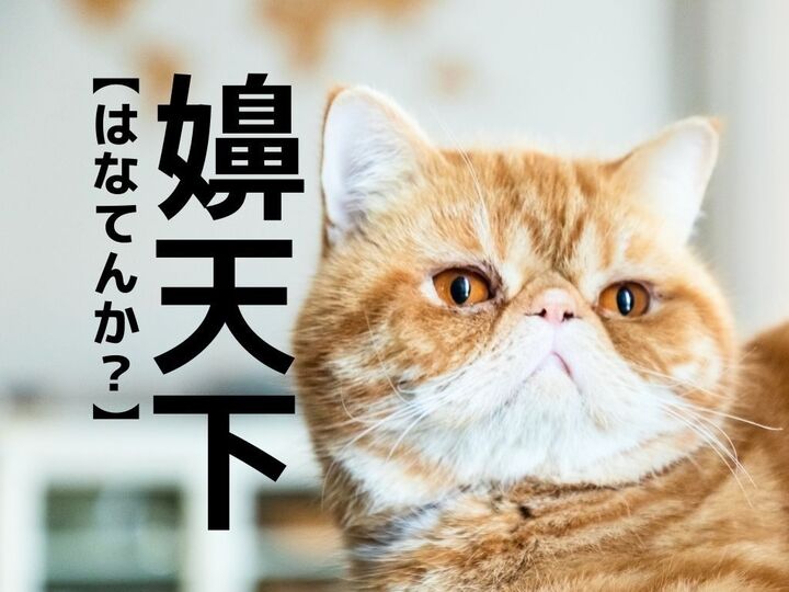 【嬶天下】を「はなてんか」と読むと笑われます!【読めたらスゴイ!?難読漢字クイズ】