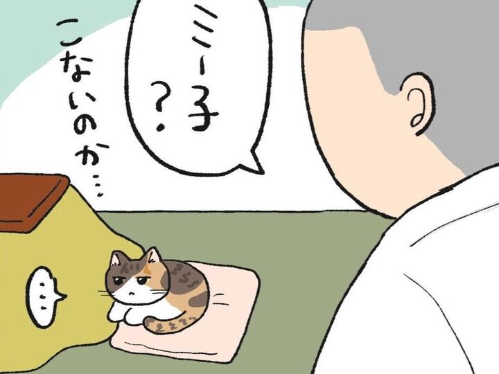 ミー子が確かめたかったこと【てらねこミー子の日常】