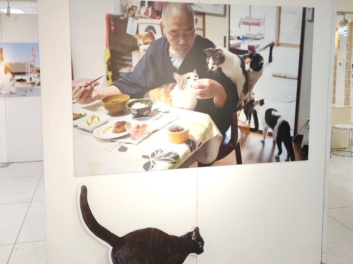 終了間近!【てらねこ写真展】SNSで大人気♡那須の長楽寺の住職とミー子たちに会いに行こう