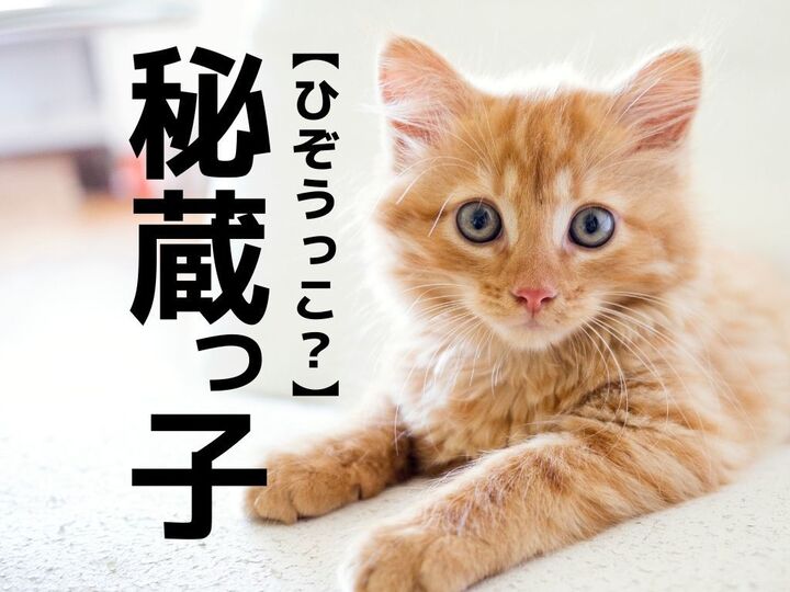 【秘蔵っ子】を「ひぞうっこ」と読むと笑われます!今までの常識がくつがえるかも…!?【読めないと恥ずかしい漢字クイズ】