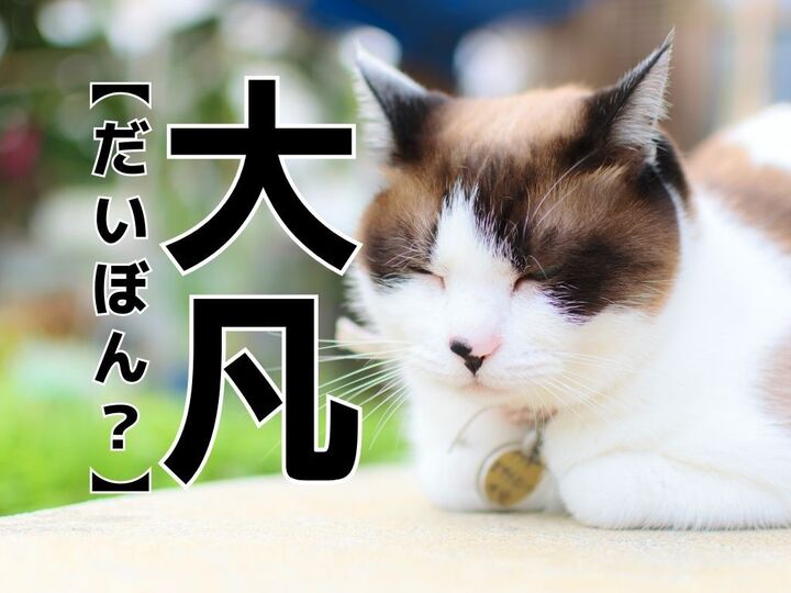 【大凡】を「だいぼん」と読むと笑われます!【読めないと恥ずかしい漢字クイズ】