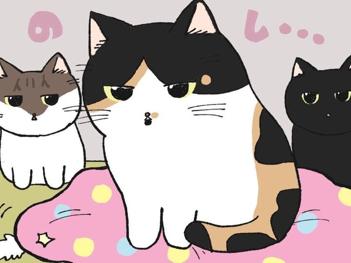 ねこたちの心模様【てらねこミー子の日常】