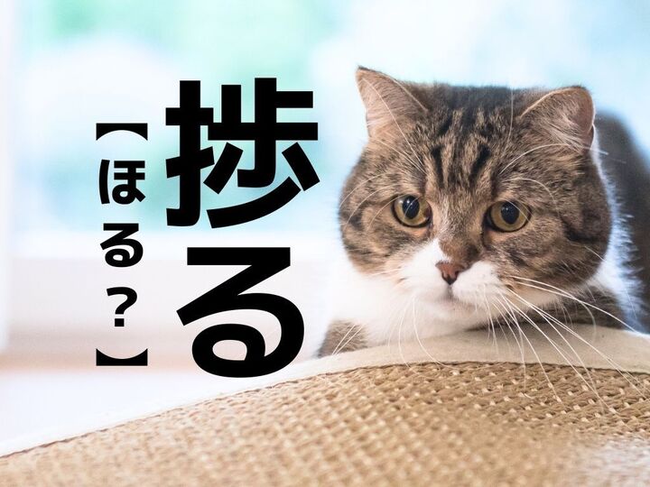 【捗る】なんて読む?もちろん「ほる」ではありませんよ!【読めそうで読めない漢字クイズ】