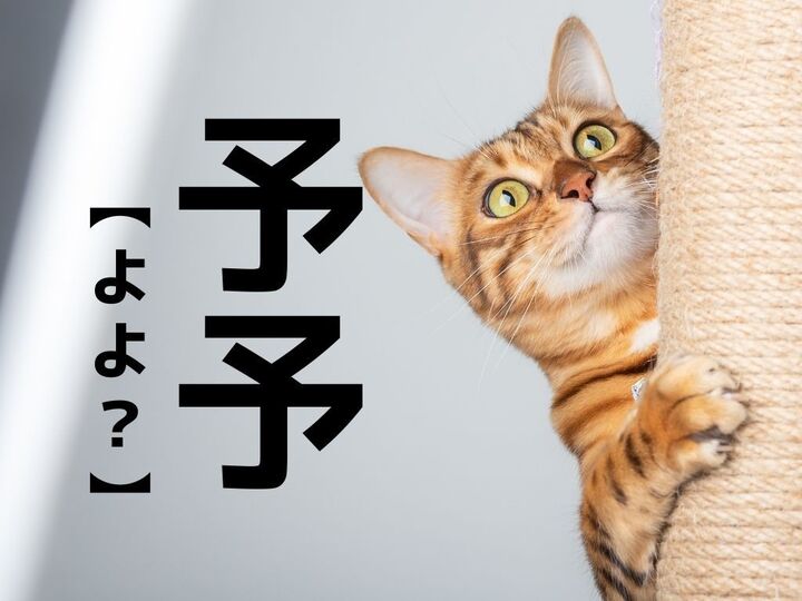 【予予】を「よよ」と読むと笑われます!【読めないと恥ずかしい漢字クイズ】