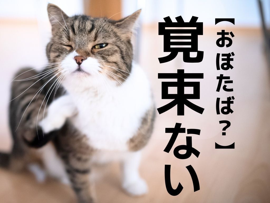 【覚束ない】を「おぼたばない」と読むと笑われます！【読めないと恥ずかしい漢字クイズ】