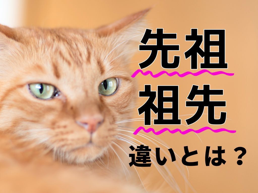 「先祖」と「祖先」の違いってわかる？その使い分け、間違ってるかも…！【意外と知らない日本語】