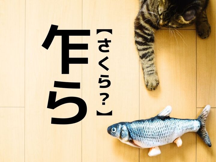 【乍ら】を「さくら?」と読むと笑われます!【読めないと恥ずかしい漢字クイズ】
