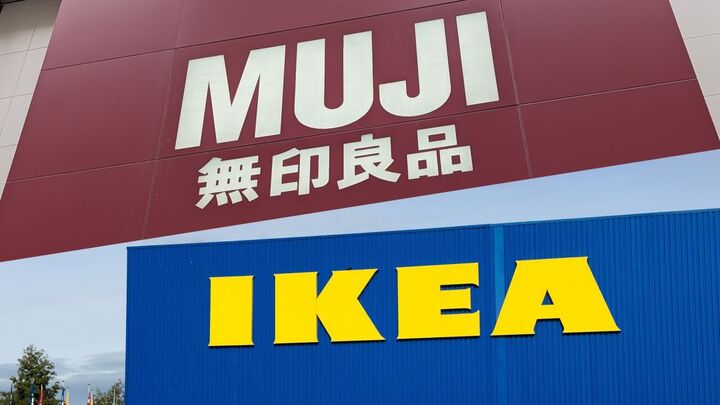 【IKEA&無印良品】今499円バッグが激アツ!日常使い最強級のワンコインアイテム