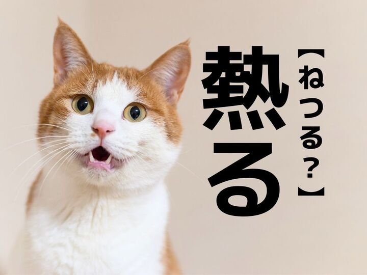 【熱る】を「ねつる」と読むと笑われます!【読めないと恥ずかしい漢字クイズ】