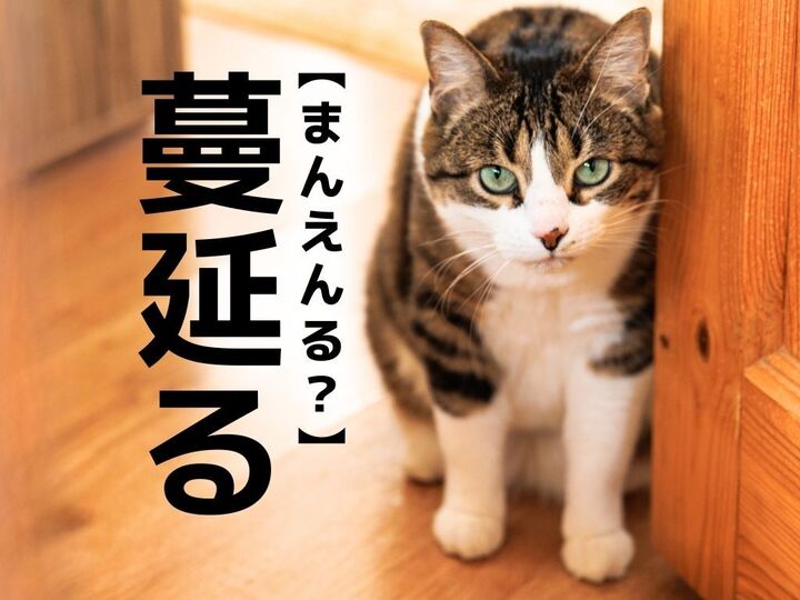 【蔓延る】を「まんえんる」と読むと笑われます!【読めないと恥ずかしい漢字クイズ】