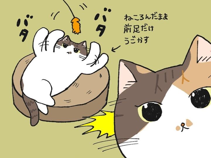 省エネねこと全力ねこ【てらねこミー子の日常】