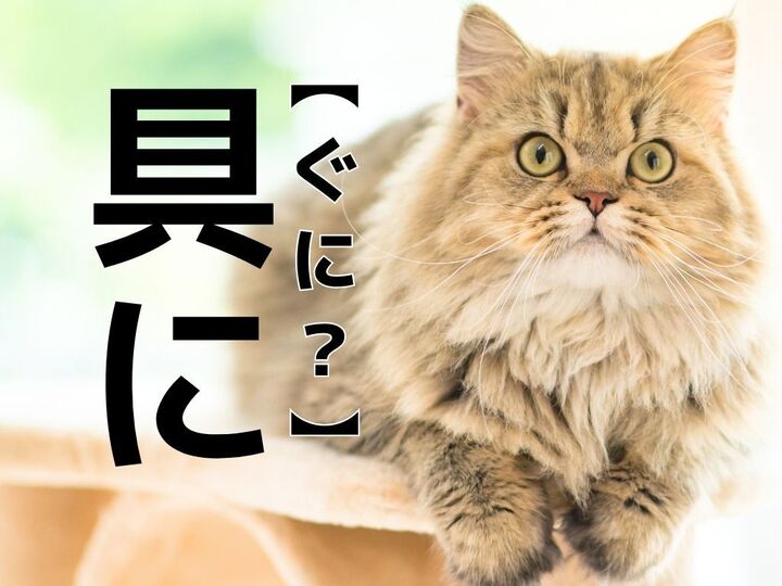 【具に】を「ぐに」と読んだら笑われます!【読めないと恥ずかしい漢字クイズ】