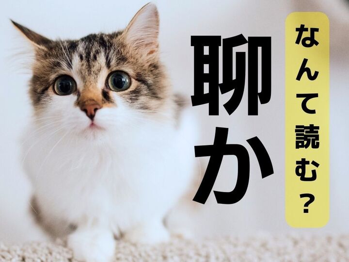 【聊か】なんて読む?ヒントは「サザエさん」!?【読めたらスゴイ!難読漢字クイズ】