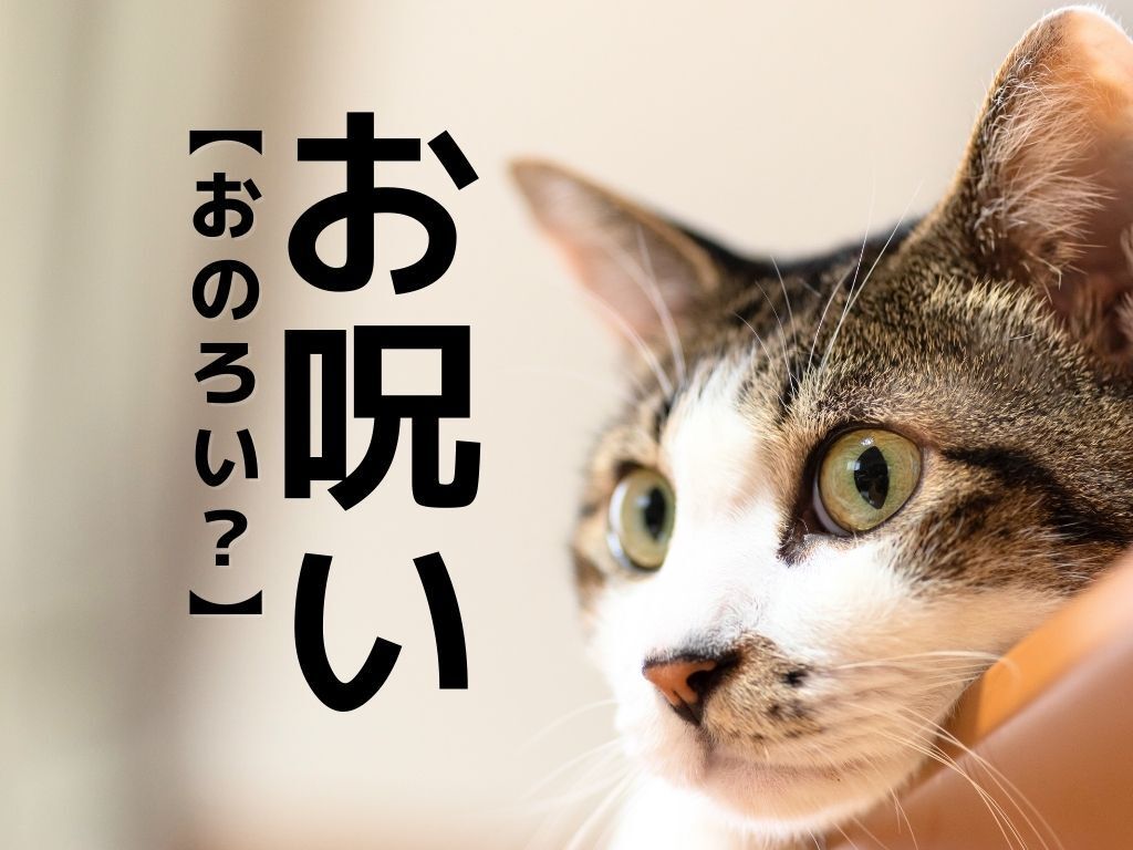 【お呪い】なんて読む？「おのろい」ではありませんよ！【読めそうで読めない漢字クイズ】