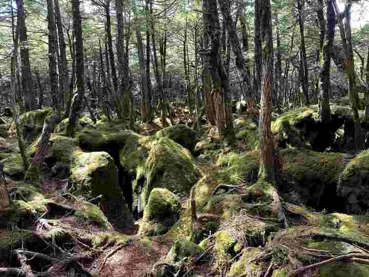 低い山でも遭難多発。「まさか!」山で道に迷ったとき 命を守る5つのルール