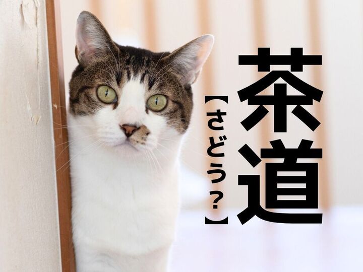 【茶道】は「さどう」と読まない!?もうひとつの読み方知ってますか?【日本人が知らない漢字クイズ】