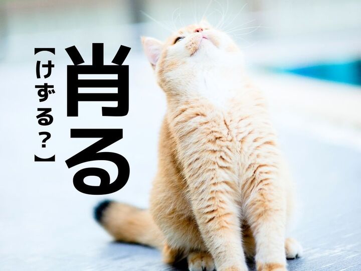 【肖る】を「けずる」と読むと笑われます!【読めないと恥ずかしい漢字クイズ】