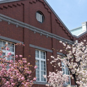 今年も大阪造幣局の桜は綺麗だった♡