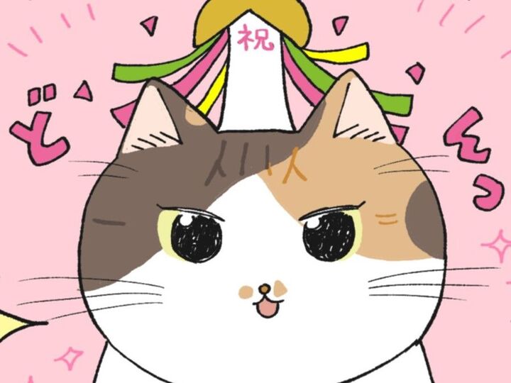 ミー子のうれしいお知らせ【てらねこミー子の日常】