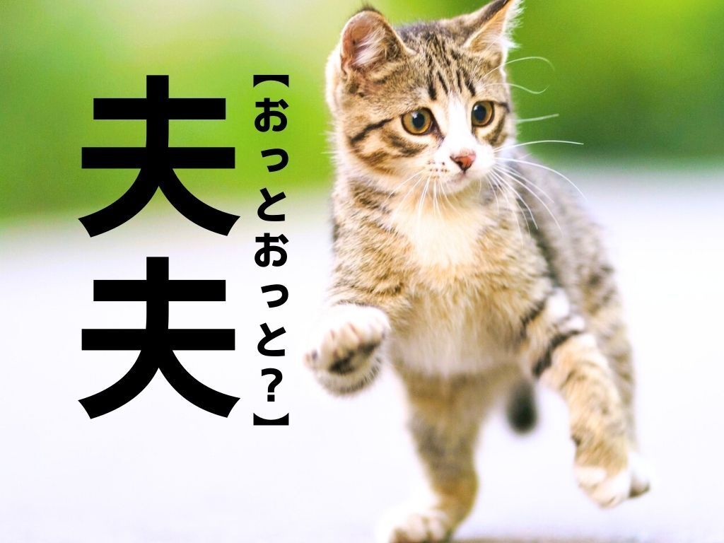 【夫夫】の読み方知ってる？もちろん「おっとおっと」ではありませんよ！【意外と読めない漢字クイズ】