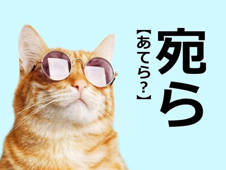 【宛ら】なんて読む?「あてら」ではありません!【簡単そうで読めない漢字クイズ】