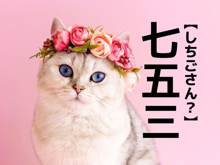 【七五三】を「しちごさん」と読むと笑われる!?【読めないと恥ずかしい漢字クイズ】