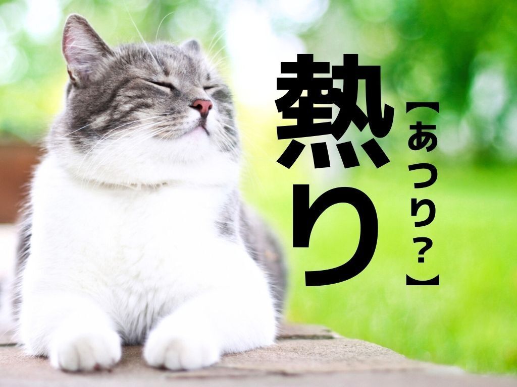 【熱り】なんて読む？もちろん「アツリ」ではありませんよ！【読めそうで読めない漢字クイズ】