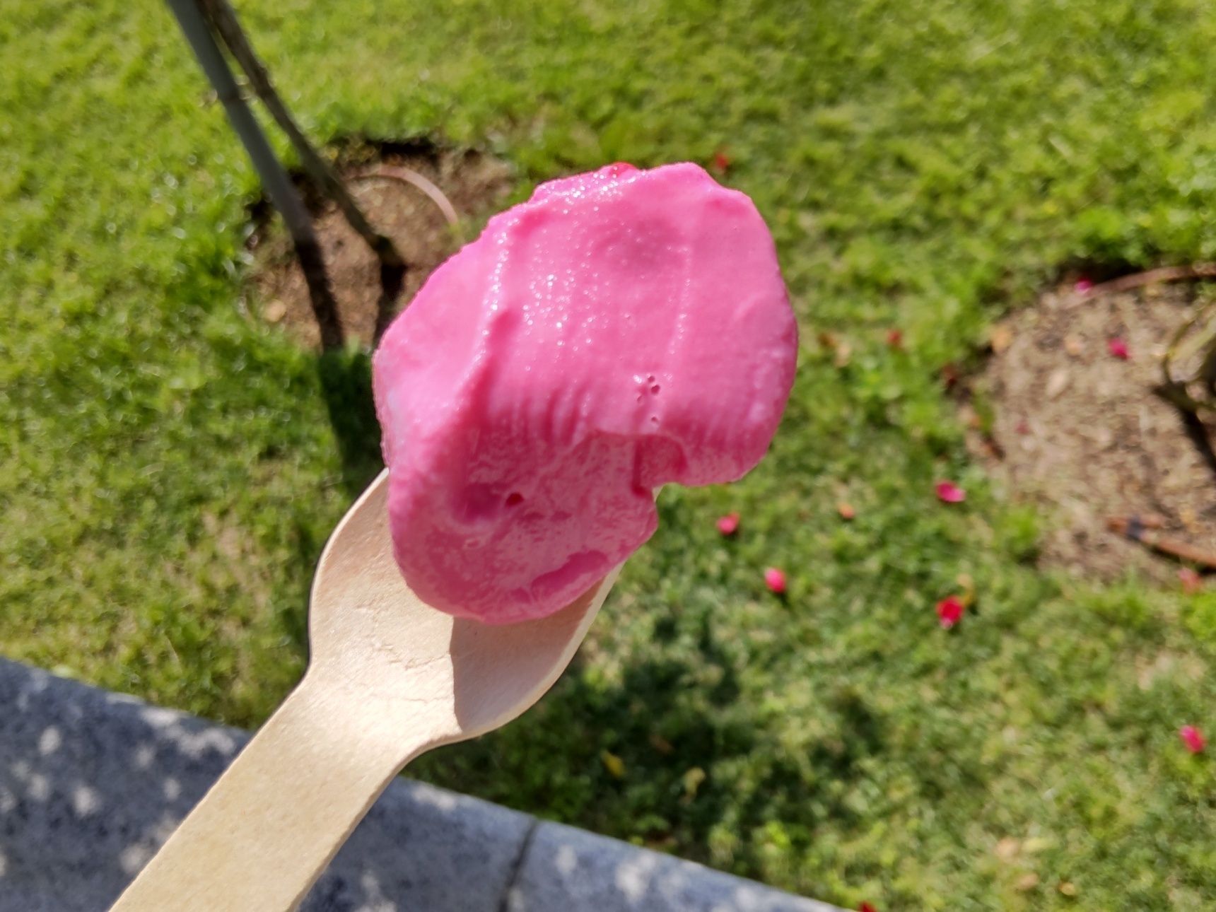 バラシロップを使用したローズソフトクリーム！