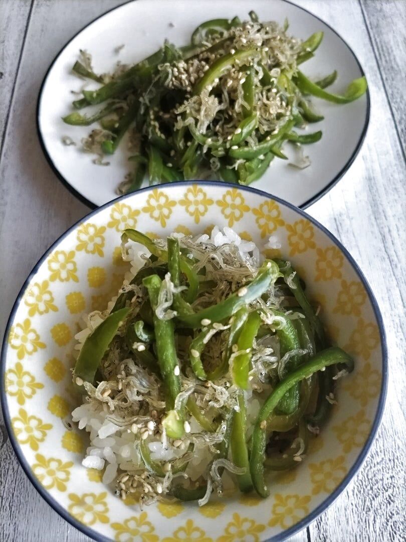 ピーマンがさっぱり美味しい♡