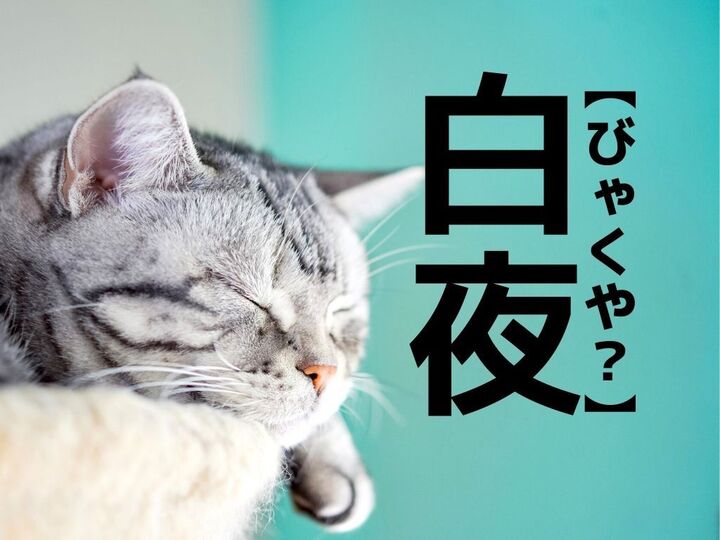 【白夜】は「びゃくや」じゃない!?本来の読み方は?【知ってたら自慢できる!漢字クイズ】