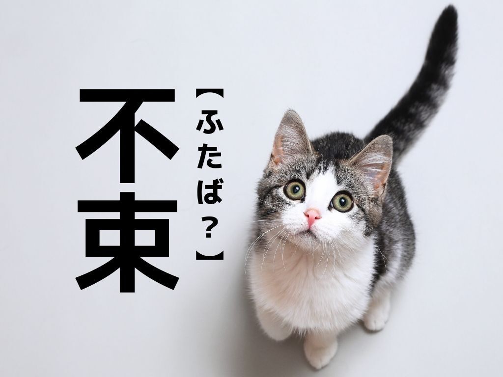 【不束】なんて読む？「ふたば」ではありませんよ！【読めそうで読めない漢字クイズ】