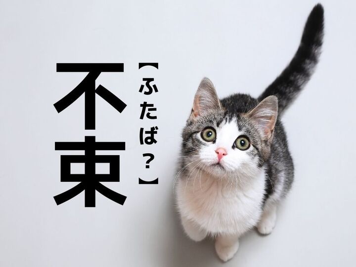 【不束】を「ふたば」と読んだら笑われます!【読めないと恥ずかしい漢字クイズ】