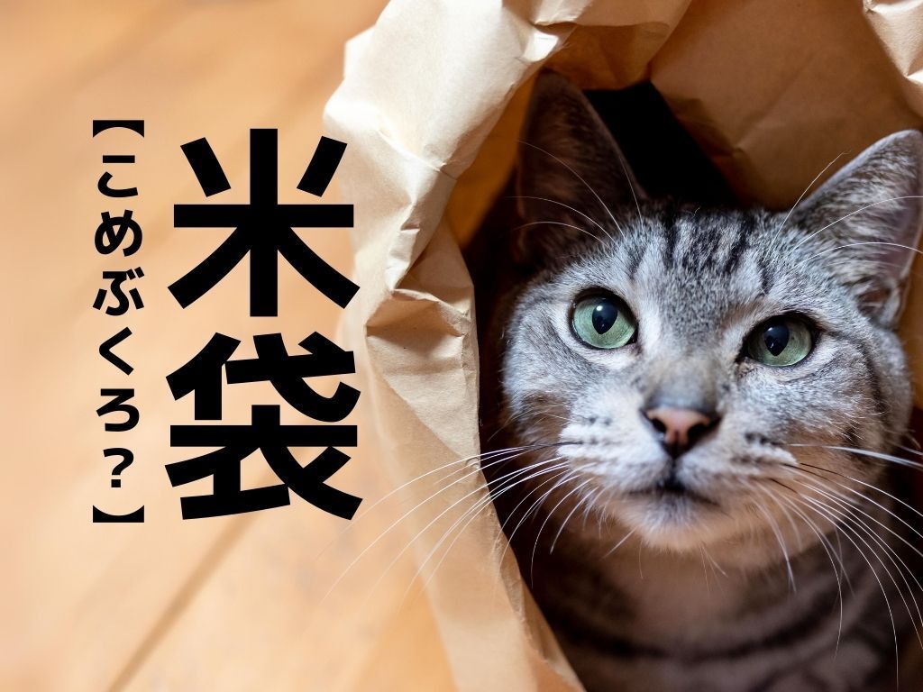 【米袋】は「こめぶくろ」と読まない？お米屋さんならわかる！？まさかな読み方とは〈漢字クイズ〉
