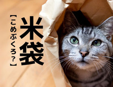【米袋】は「こめぶくろ」ではありません。ある業界では当たり前！？まさかな読み方とは【漢字クイズ】