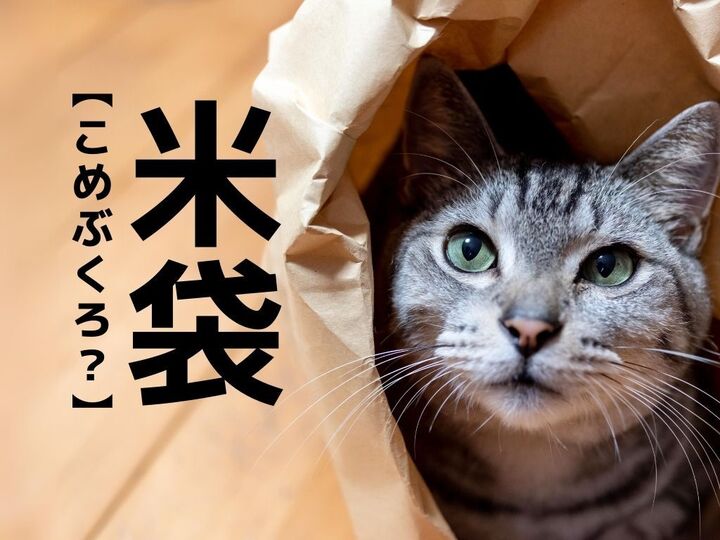【米袋】は「こめぶくろ」ではありません。ある業界では当たり前!?まさかな読み方とは【漢字クイズ】