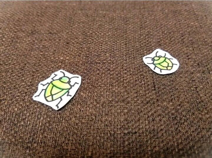 【カメムシ】が大量発生…!でも大丈夫。家にあるモノでカンタンに対策できますよ♪