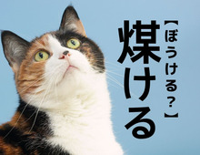 【煤ける】を「ぼうける…？」と読むと笑われます！【読めないと恥ずかしい漢字クイズ】