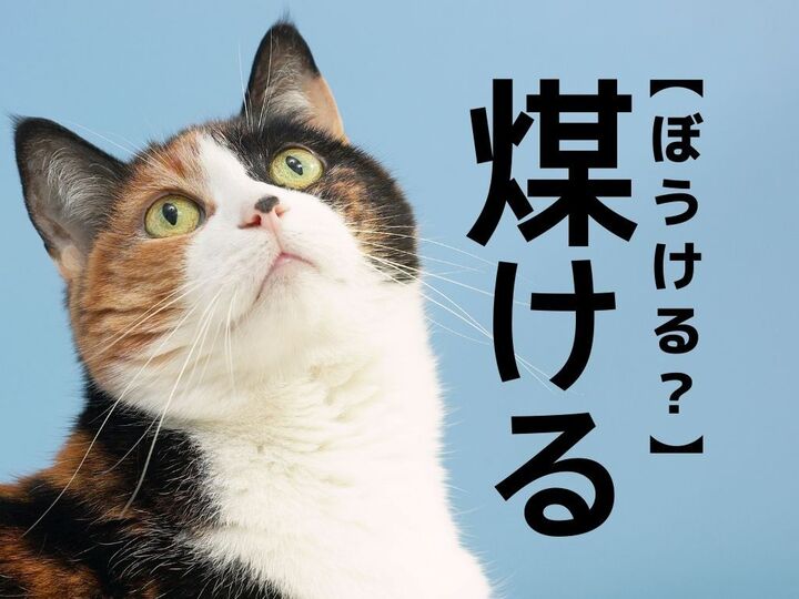 【煤ける】を「ぼうける…?」と読むと笑われます!【読めないと恥ずかしい漢字クイズ】
