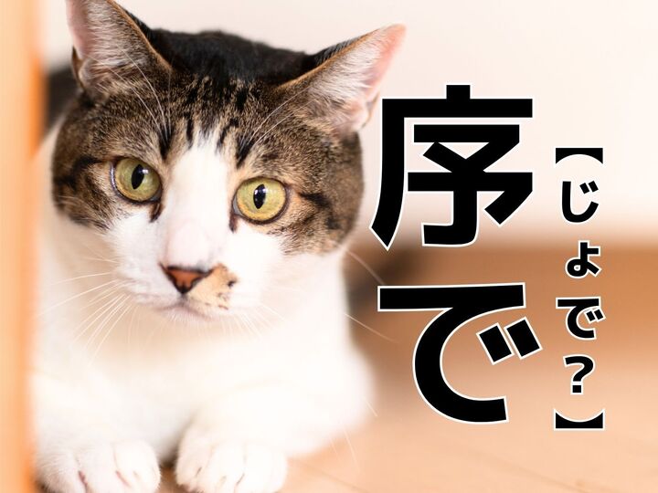 【序で】を「じょで」と読むと笑われます!【読めないと恥ずかしい漢字クイズ】
